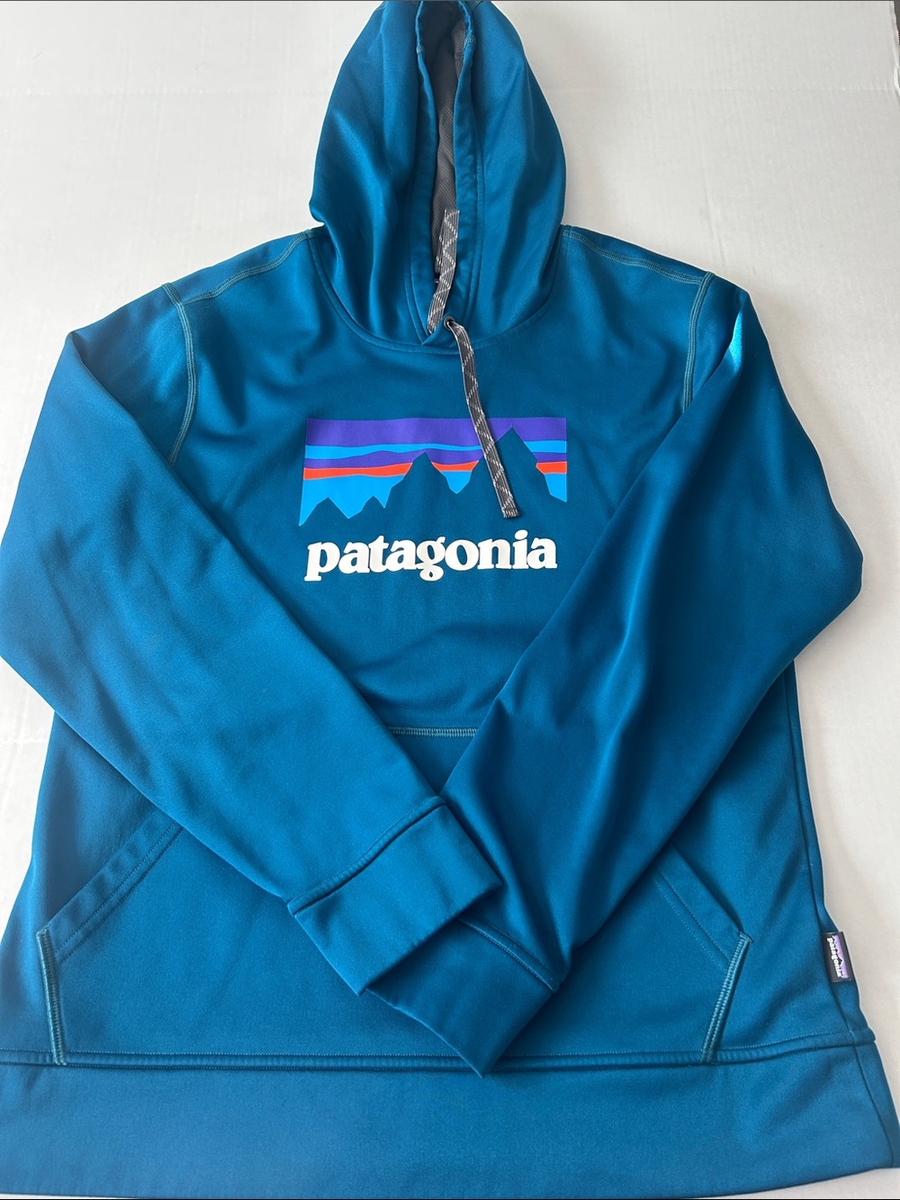 Patagonia Blue Teal Hoodie with Multicolor Mountain Logo